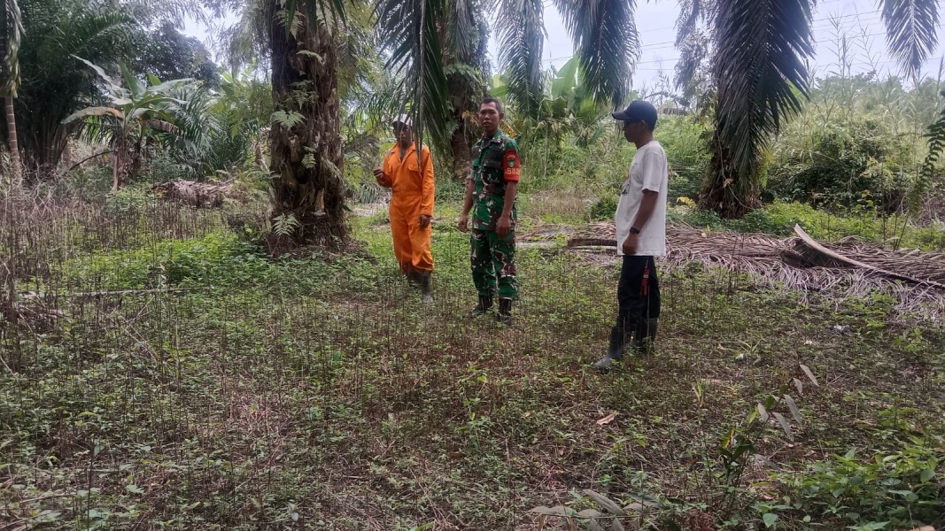 Koramil 07/Reteh Perkuat Edukasi Bahaya Karhutla di Jalur Tapal Batas