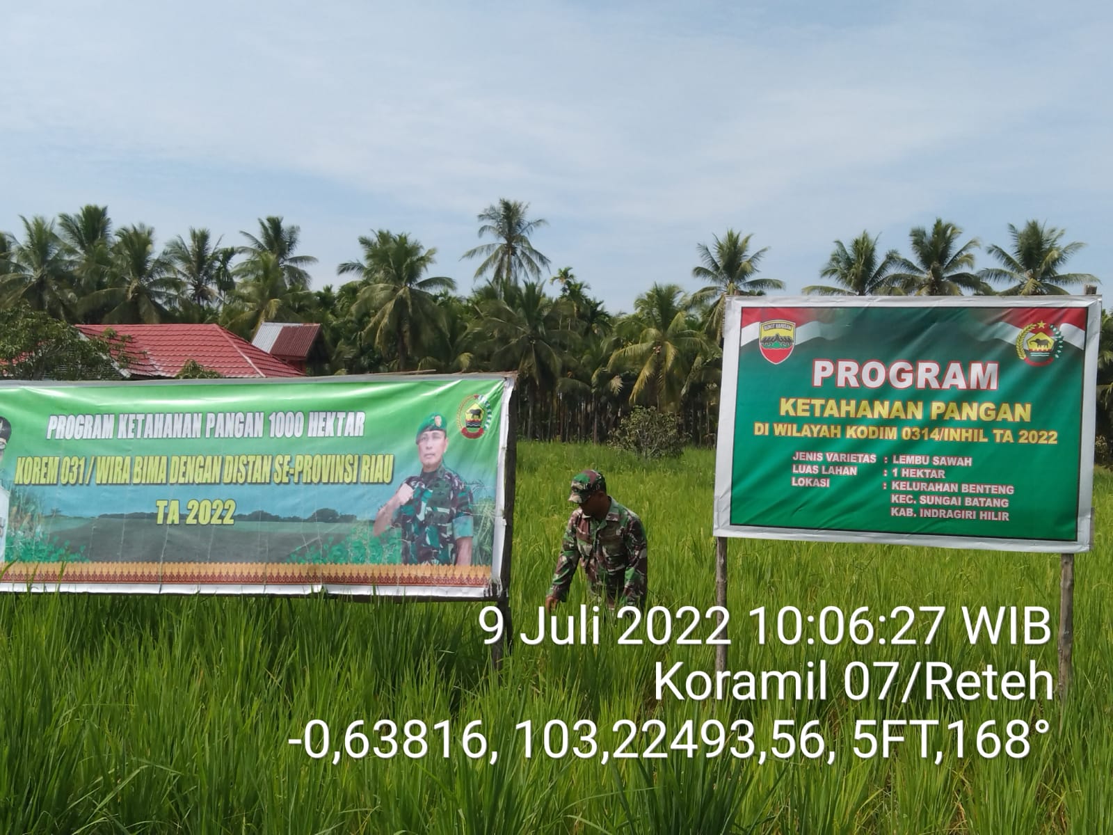 Anggota Koramil 07/Reteh Lakukan Perawatan Dari Rumput dan Hama Daun