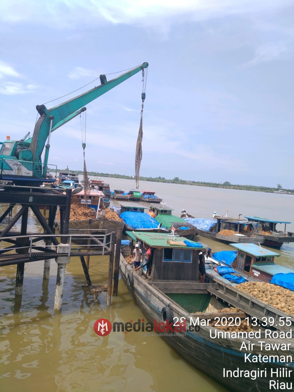 Tidak Benar Sambu Group Stop Terima Kelapa Bulat dari Petani