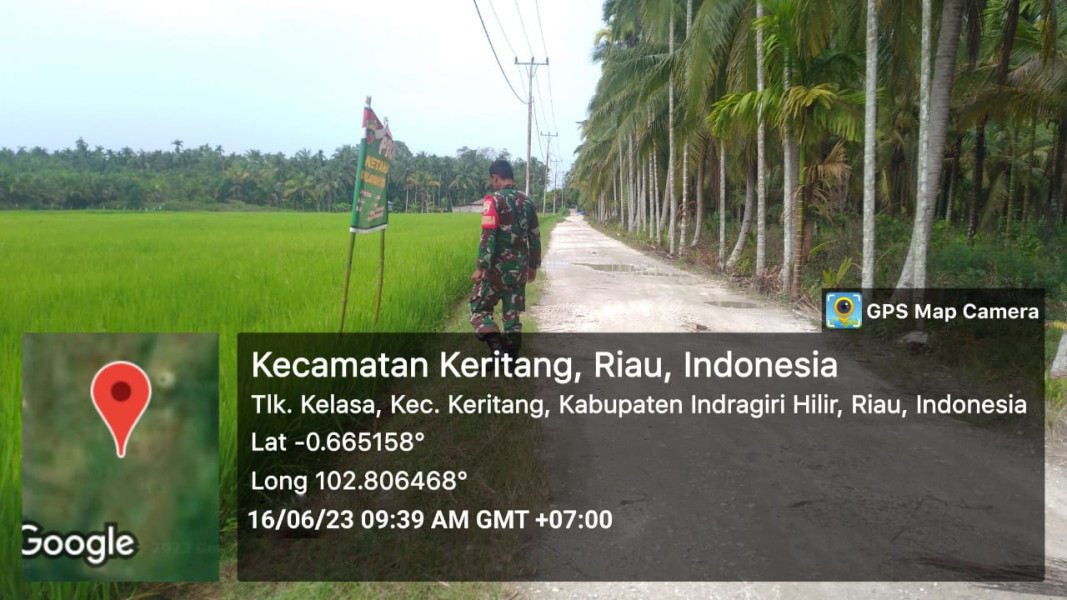 Upaya Penyemprotan Secara Berkala, Babinsa Koramil 09/Kemuning Terus Lakukan Pemantauan Terhadap Ketahanan Pangan