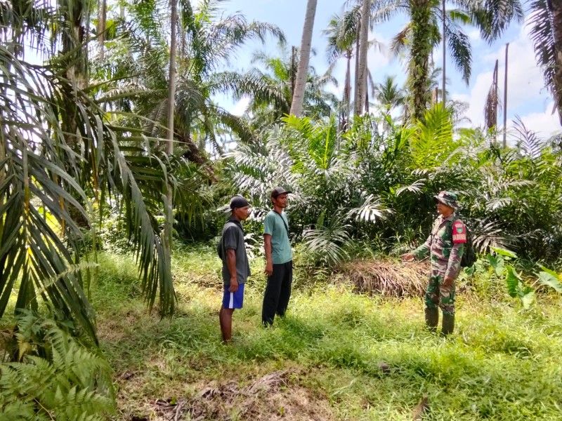 Terus Lakukan Pencegahan Karhutla Babinsa Rutin Laksanakan Patroli Tapal Batas