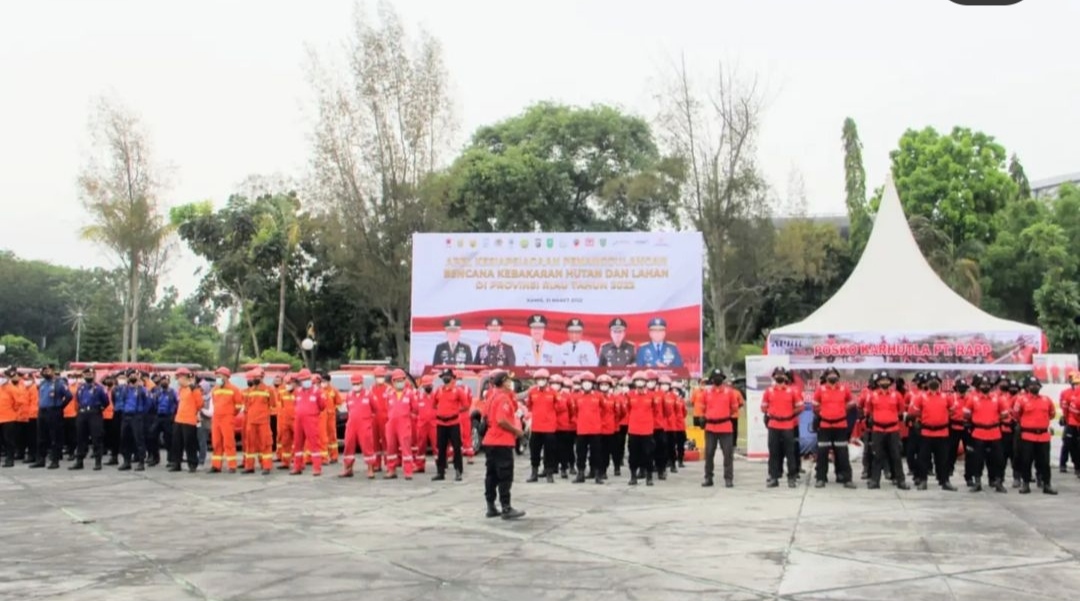 DP2KBP3A Inhil Terlibat dalam Rapat Koordinasi Penurunan Stunting Tahun 2024