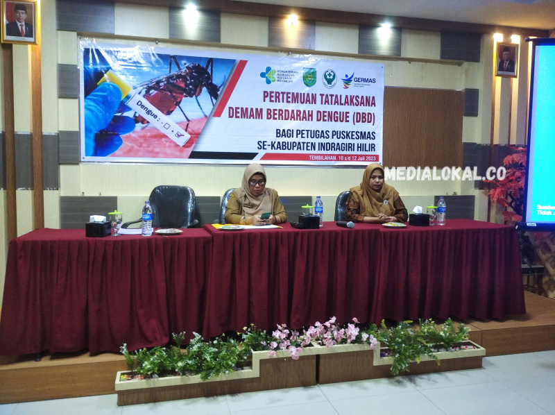 Dinkes Gelar Pertemuan Tatalaksana DBD Puskesmas se Kabupaten Indragiri Hilir