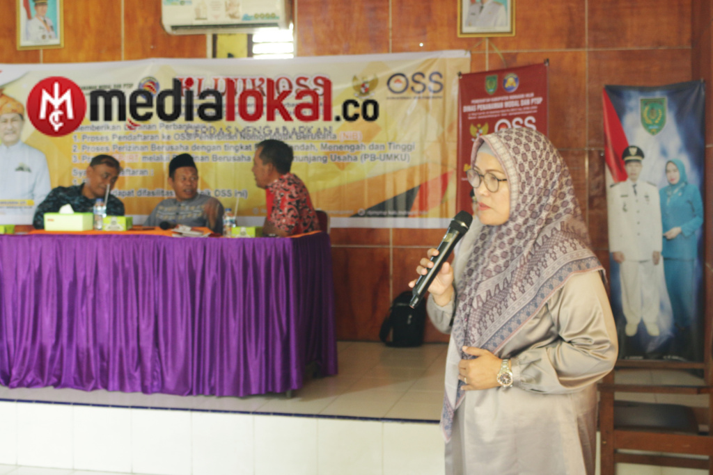 DPMPTSP Inhil Sosialisasikan Klinik OSS di Kecamatan Keritang