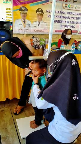 Dinkes Inhil Berikan Penjelasan Terkait Faktor Pengaruh Stunting