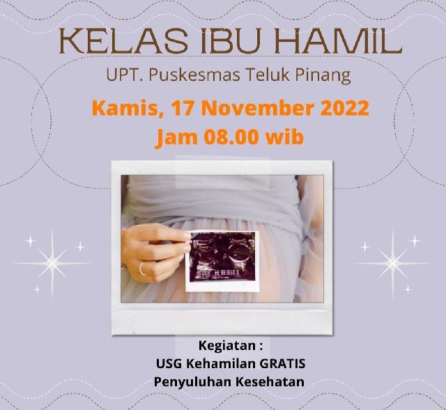Setiap Bulan, UPT Puskesmas Teluk Pinang Buka Kelas Khusus Ibu Hamil