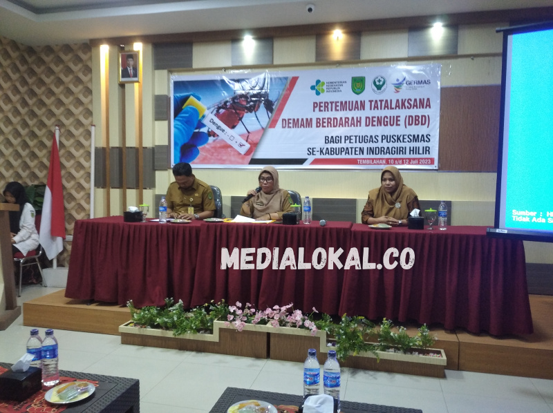 Dinkes Gelar Pertemuan Tatalaksana DBD Puskesmas se Kabupaten Indragiri Hilir
